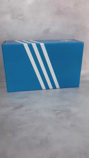 Adidas Ultraboost 21